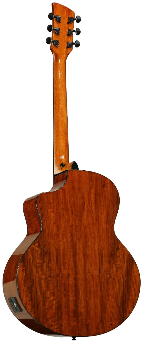 Brunswick BTK60 Grand Auditorium Electro/Cut Walnut - Image 2