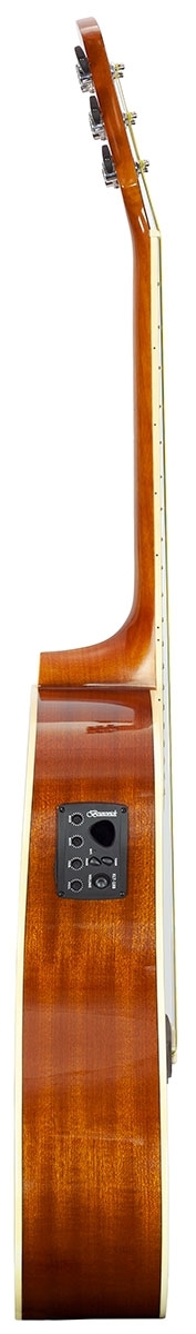 Brunswick Dreadnought Cut Electro Natural - Image 3
