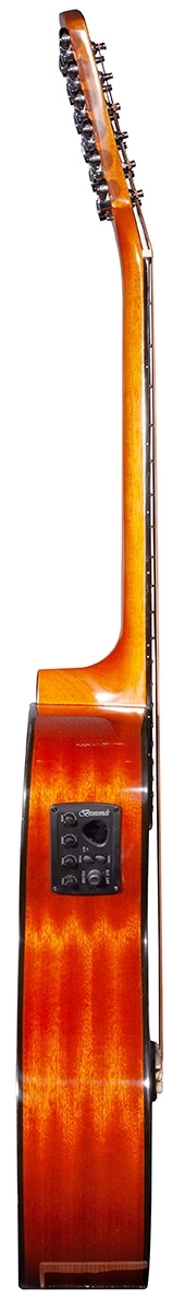Brunswick Grand Auditorium 12 String Electro Mahogany - Image 3