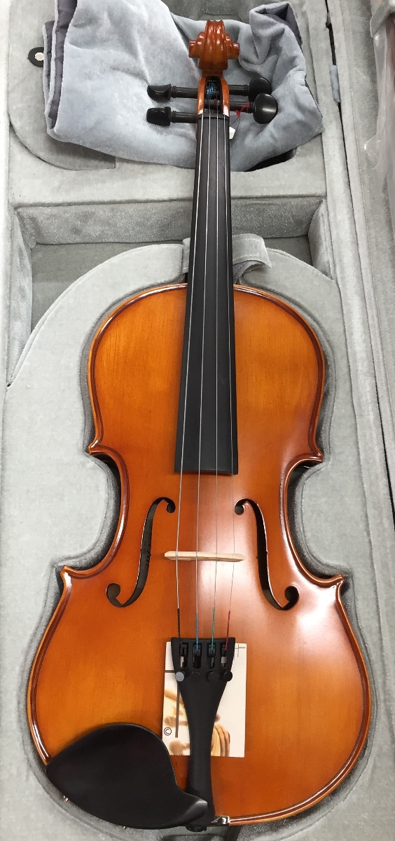 TGI Gigbag Flatback Mandolin Extreme Series - Image 6