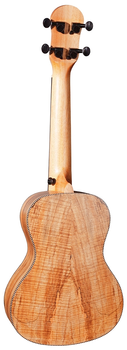 Barnes & Mullins Concert Ukulele - Spalt Maple - Image 2