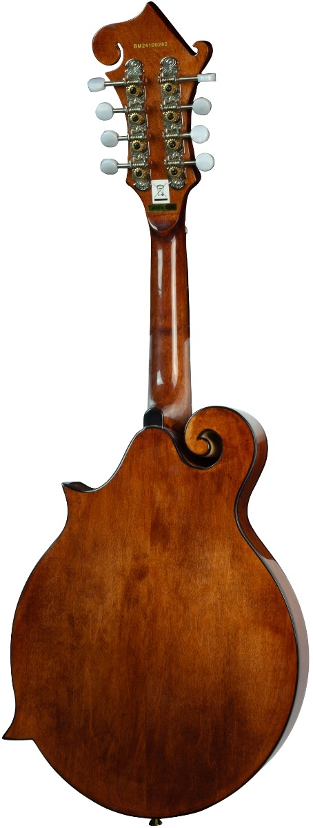 Barnes & Mullins Salvino F-Style Mandolin - Image 2