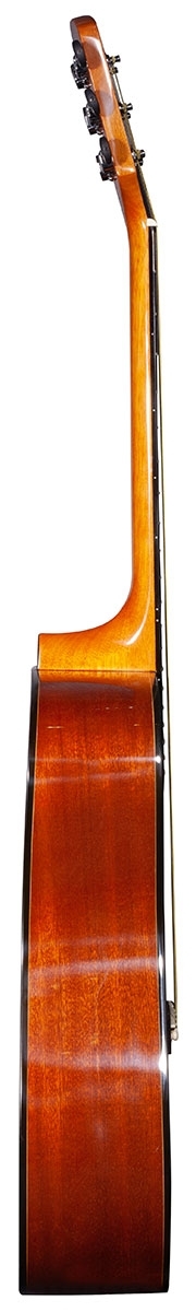 Brunswick Dreadnought Mahogany Gloss - Image 3