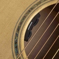 Faith Naked Neptune Electro Black Stain inc Gigbag - Image 6