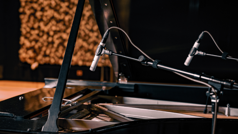 Universal Audio SP-1 Standard Pencil Microphone (Pair) - Image 4