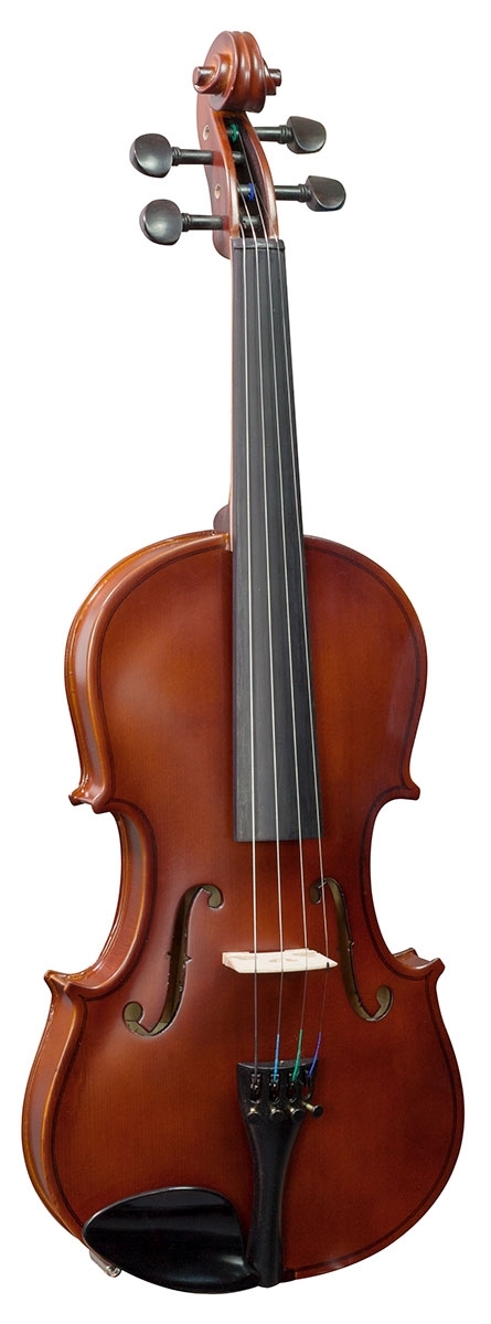 Hidersine Inizio Violin 1/4 Outfit - Image 4
