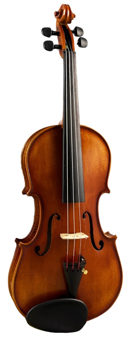 Hidersine Vivente Violin Academy 1/2 Finetune Outfit. - Image 5