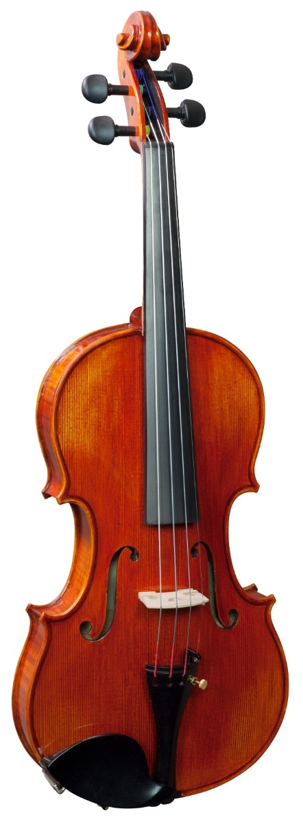 Hidersine Piacenza Violin 3/4 Academy Finetune Outfit - Image 3