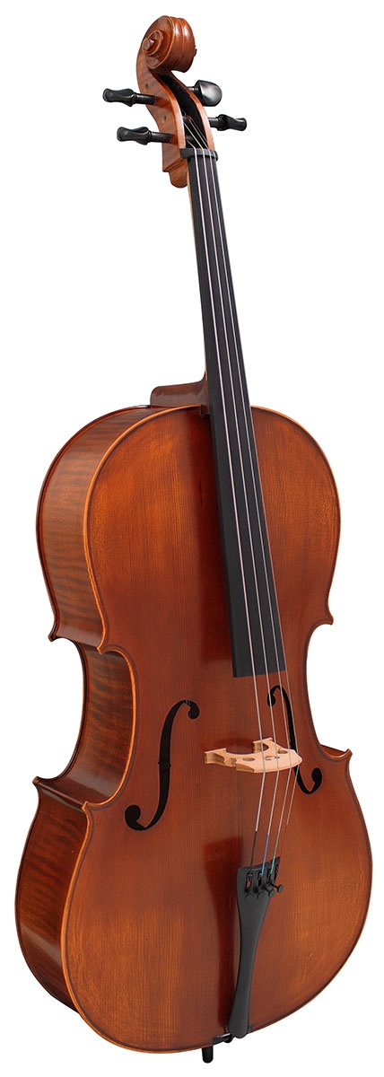 Hidersine Vivente 4/4 Cello Outfit - Image 3