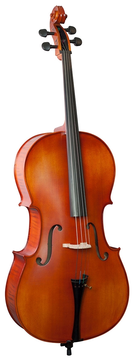 Hidersine Vivente Academy Cello 4/4 Outfit - Image 5