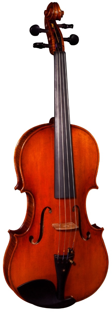 Hidersine Espressione Viola 15.5" Outfit - Stradivari - Image 2