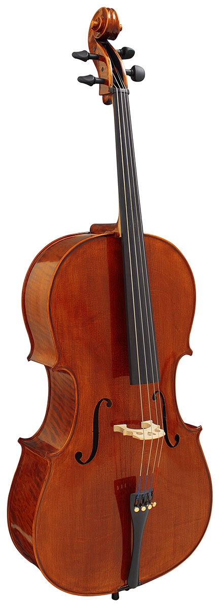 Hidersine Piacenza Cello Finetune 4/4 Outfit - Image 2