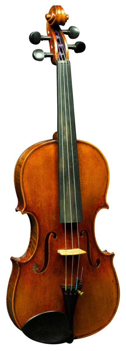 Hidersine Preciso Violin 4/4 Outfit - Strad Antique - Image 2