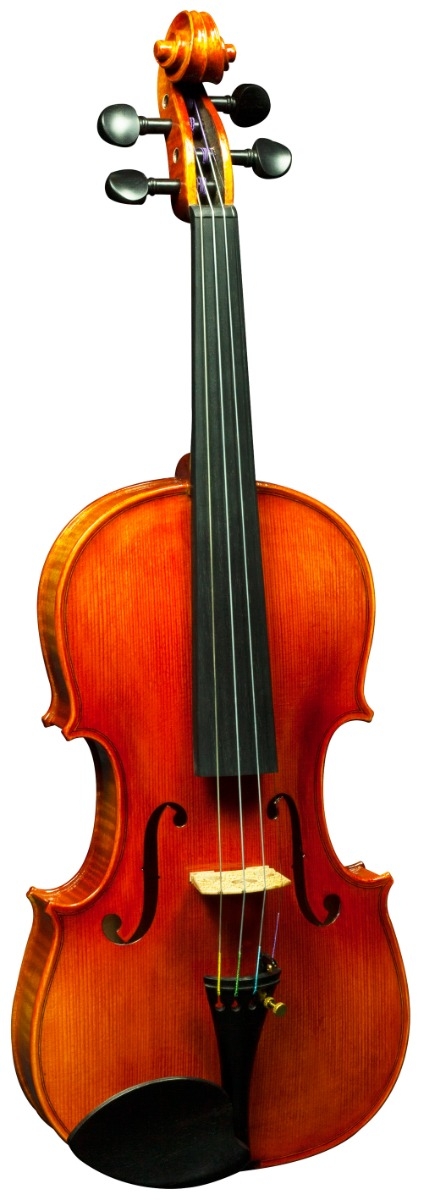 Hidersine Nobile Violin 4/4 Outfit - Strad Non-Antique - Image 2