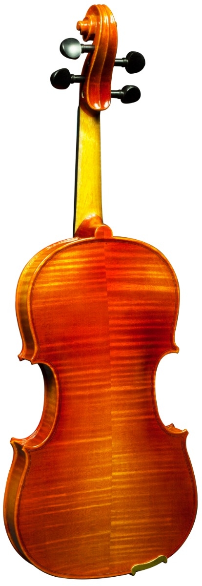 Hidersine Nobile Violin 4/4 Outfit - Strad Non-Antique - Image 3