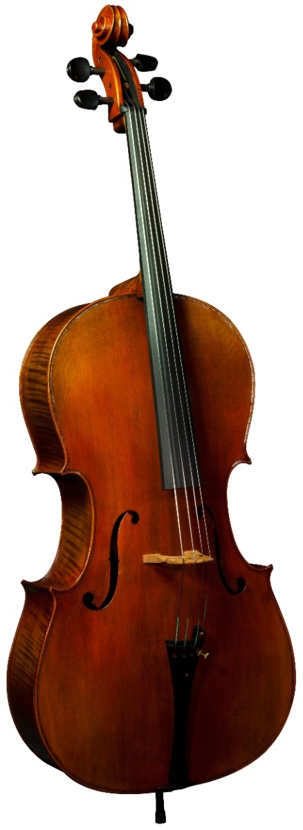 Hidersine Cello Preciso 4/4 Outfit - Image 2