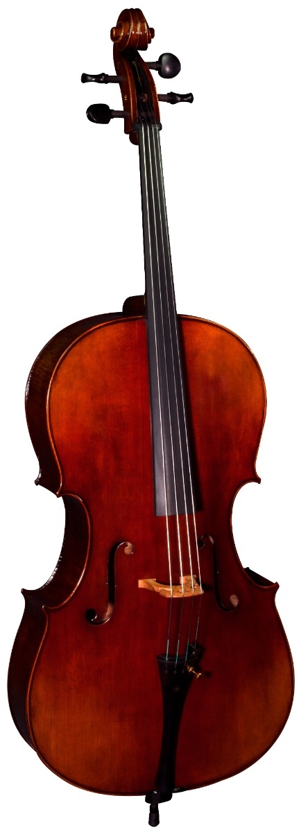 Hidersine Cello Melodioso 4/4 Outfit - Image 3