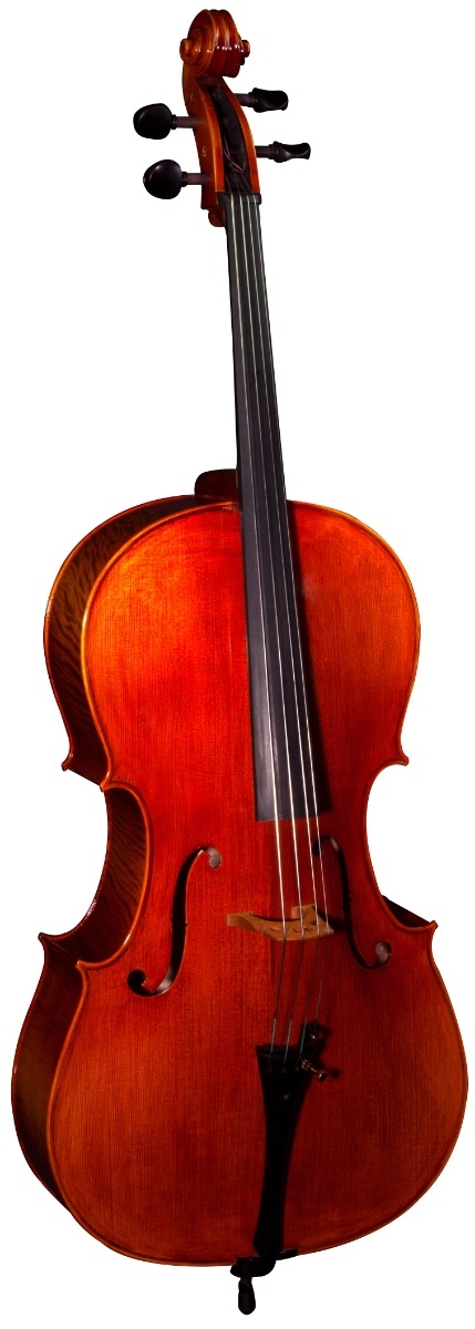Hidersine Cello Nobile 4/4 Outfit - Image 4