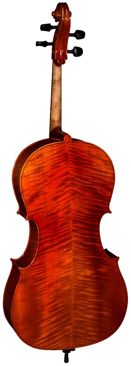 Hidersine Cello Nobile 4/4 Outfit - Image 5